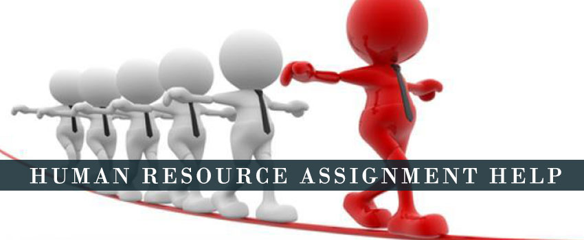 HUMAN RESOURCE Assignment Help - Unfolded Writers