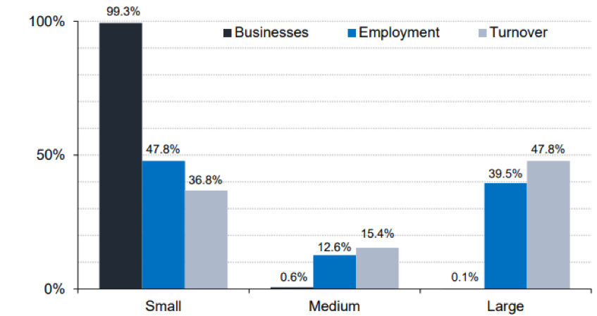 Figure 1 Small sized business in the UK