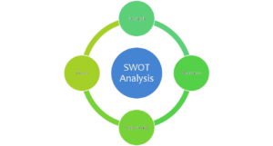 Use appropriate model to evaluate the company strategy 